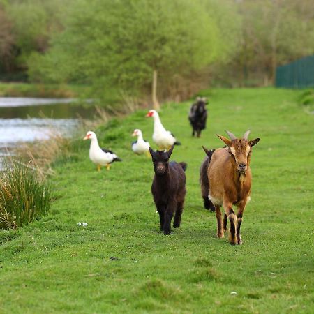 Gites De La Ferme De Vur Ven Gouvieux Zewnętrze zdjęcie