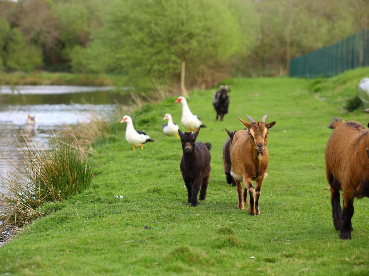 Gites De La Ferme De Vur Ven Gouvieux Zewnętrze zdjęcie